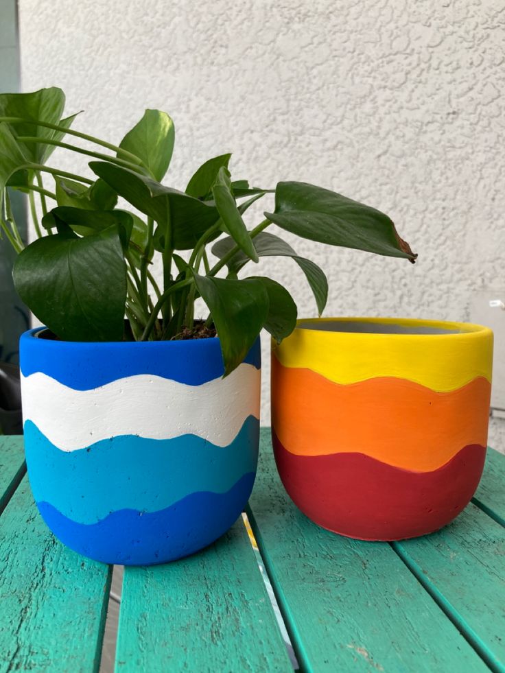 two potted plants sitting on top of a wooden table next to eachother