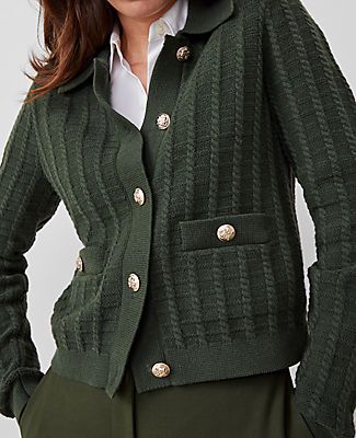 Elevate your wardrobe with the Ann Taylor Collared Stitched Jacket, a testament to sophistication and versatility. This hunter green jacket is perfect for women who appreciate both style and comfort.

- Size: XL (Regular fit)
- Color: Hunter's Green
- Material: 49% Cotton, 27% Nylon, 24% Polyester
- Gender: Female
- Features: Point collar, long sleeves, button front, button welt pockets
- Care Instructions: Machine washable

Designed to be worn buttoned or unbuttoned, this jacket boasts a richly Hunter Green Jacket, Blazer And Skirt, Summer Sweaters, Sleepwear & Loungewear, Petite Fashion, Linen Clothes, Ann Taylor, Jacket Outfits, Sweater Jacket