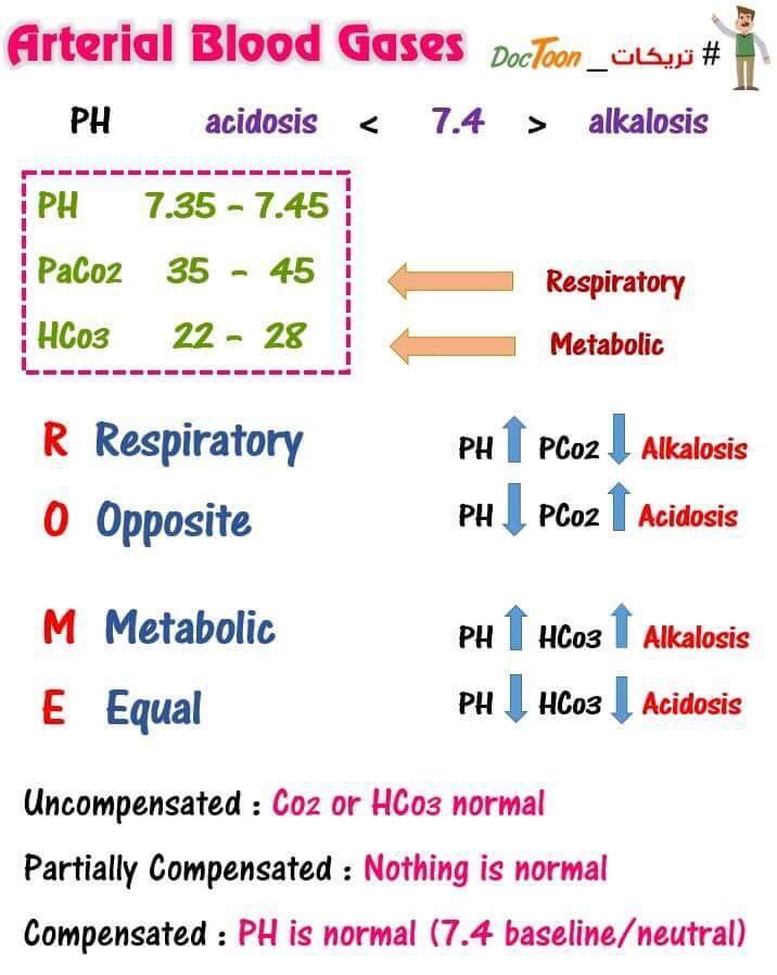 a diagram showing the different types of blood gas in each type of body and how it works