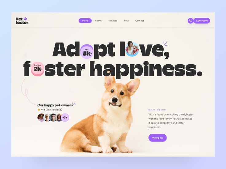 a dog sitting in front of a screen with the words adopt love, fosterer happiness