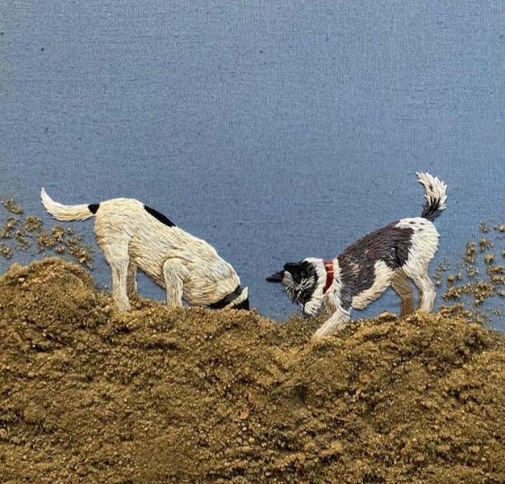 two dogs are playing in the sand by the water