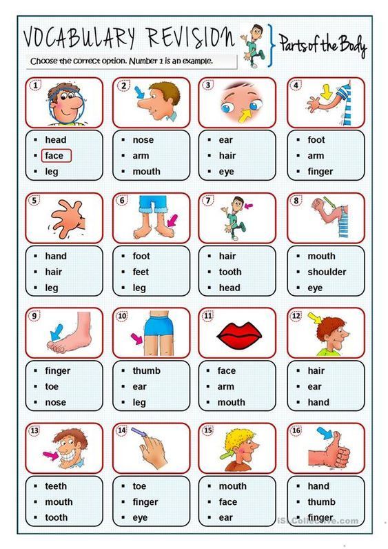 a worksheet with words and pictures on it