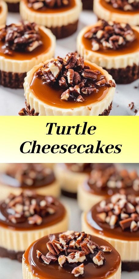 chocolate cheesecakes with pecans on top and the words turtle cheesecakes above them