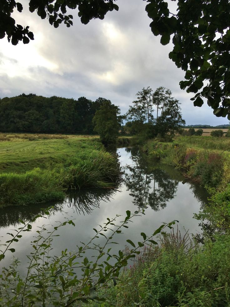 a river running through a lush green field