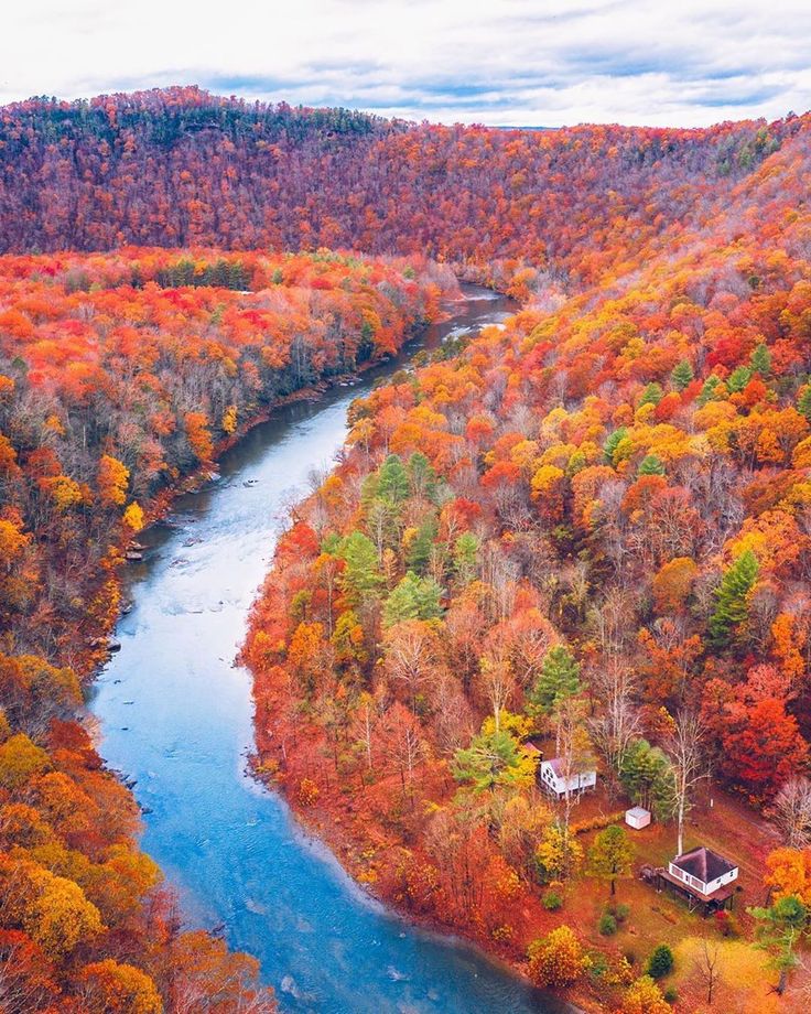 an aerial view of a river surrounded by trees in the fall with orange, yellow and red foliage