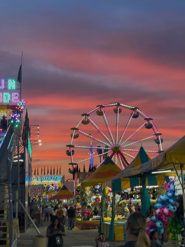 County Fair Aesthetic, Rodeo Aesthetic, Texas Fair, 2024 Lifestyle, State Fairs, Fair Aesthetic, Fair Season, Texas Rodeo, State Fair Of Texas