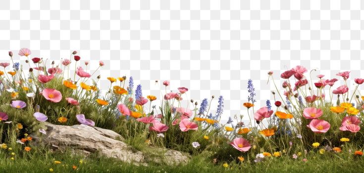 an image of flowers and rocks in the grass with no background, hd png