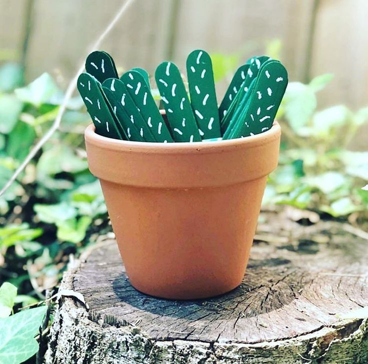 a potted plant with green leaves sitting on top of a tree stump