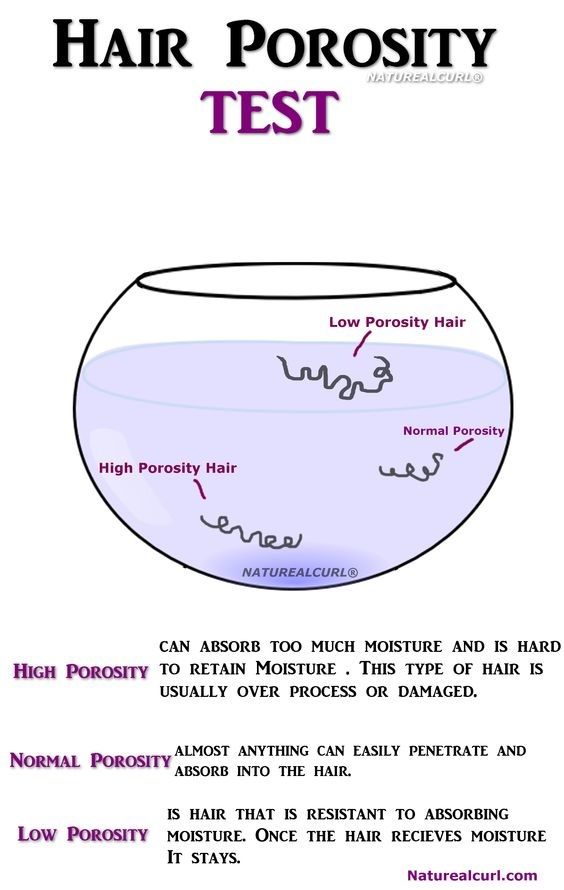 Porosity Test, Hair Porosity Test, Membentuk Alis, High Porosity Hair, Beauty Science, Low Porosity, Natural Hair Care Tips, Hair Regimen, Hair Porosity