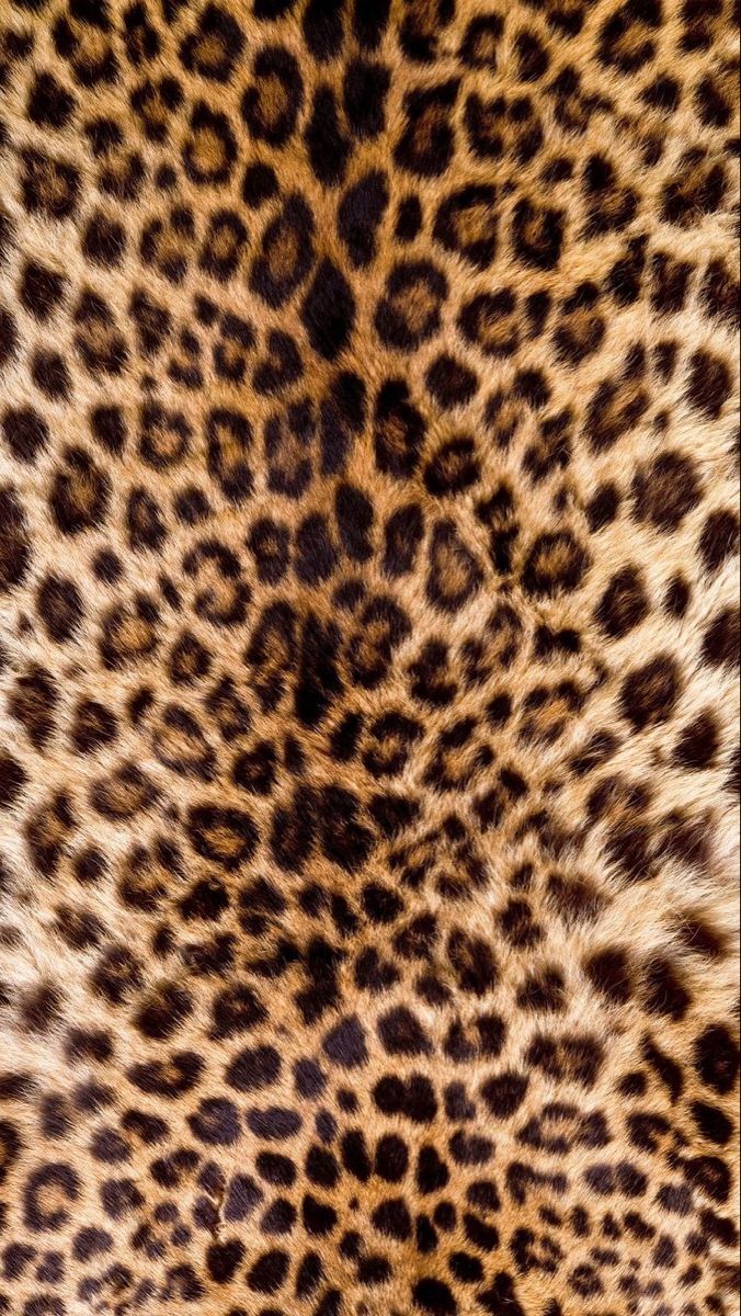 an animal print pattern is shown in brown and black colors on the skin of a cheetah