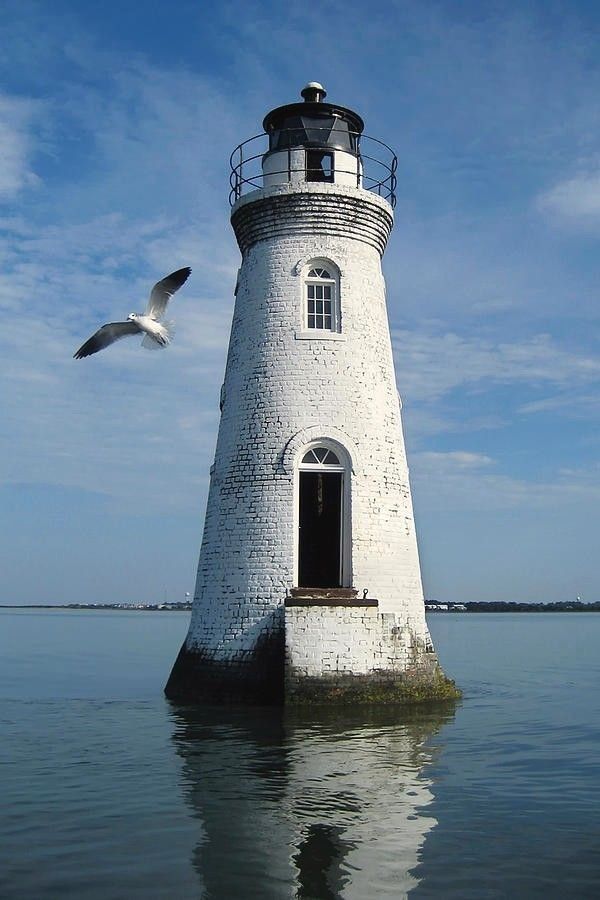 a white light house sitting on top of a body of water next to a seagull