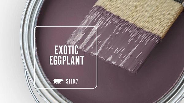 an eggplant paint can be used to create the perfect color for your home