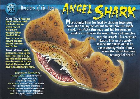 the back cover of an animal book with information about its teeth and features in it