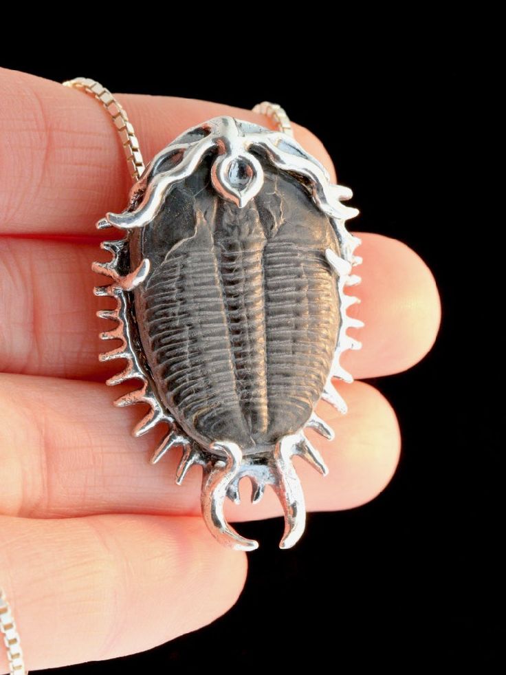 "This unique \"Colossal\" Trilobite Fossil Pendant is cast in sterling silver. Alisha hand picked the Utah Trilobite fossils on our February trip to the Tucson gem and mineral show and designed this spikey Trilobite setting especially for them. Each of the pendants will be slightly different due to subtle variations between each fossil specimen but all are uniquely beautiful. The pendant is 2\" long and 1 1/4\" across. The black cord is included in the price of the pendant or you may choose a st Prehistoric Jewelry, Trilobite Jewelry, Animal Skull Necklace, Real Insect Jewelry, Insect Jewelry Necklaces, Fossil Art, Jewelry Ocean, Fossil Jewelry, Trilobite Fossil