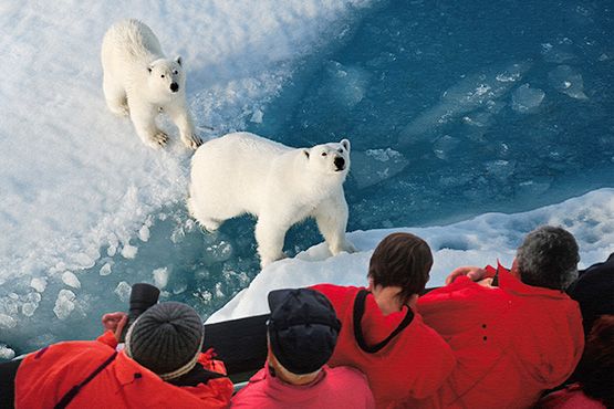 people watching polar bears on an iceberg in the arctic ocean, looking at them