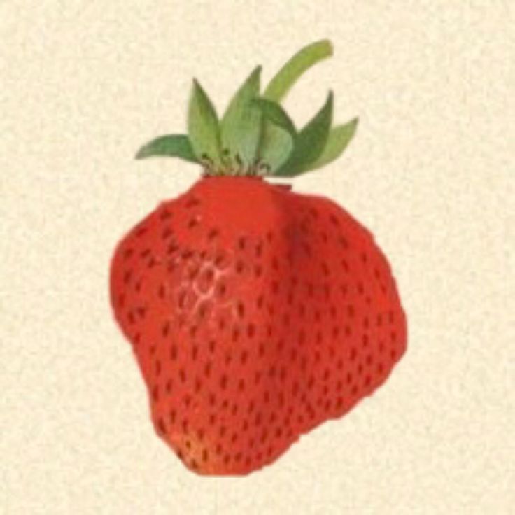 a drawing of a strawberry with leaves on top