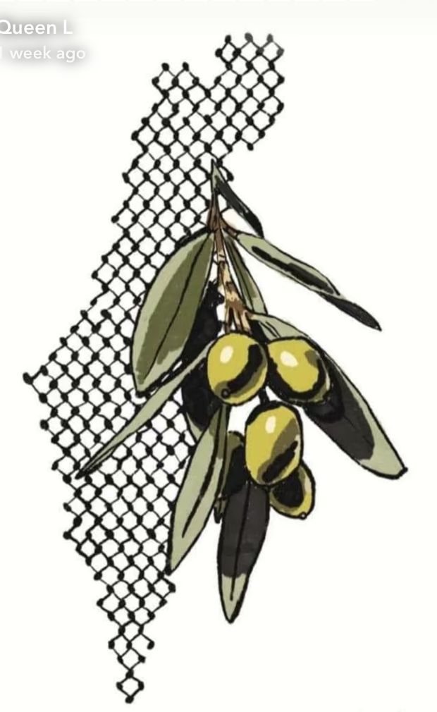 an olive branch hanging from a mesh screen