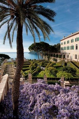 purple flowers are blooming in front of a large building with a view of the ocean