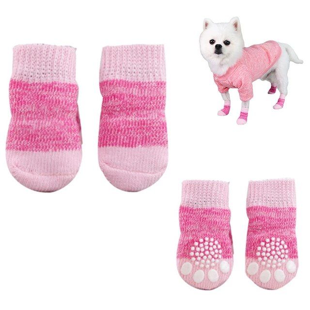 a small white dog standing next to two pairs of pink socks