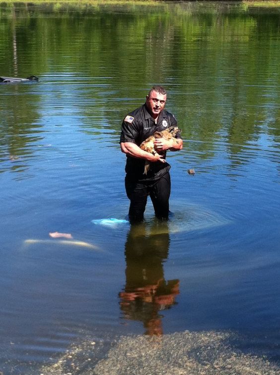 a man standing in the water holding a dog