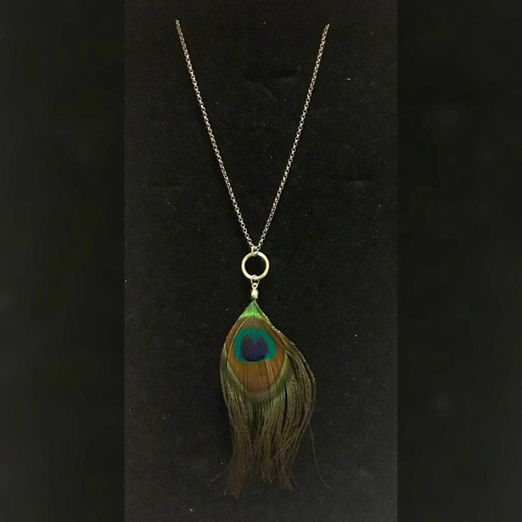 a necklace with a peacock feather hanging from it's back end on a chain