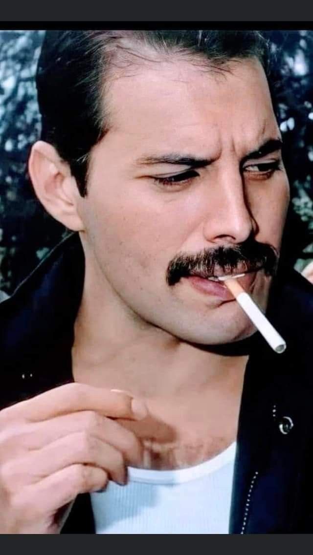 Fred Mercury, Freddie My Love, Funny Aesthetic, Freddy Mercury, Queen Freddie Mercury, John Deacon, Queen Band, Stranger Things Funny, Jim Morrison