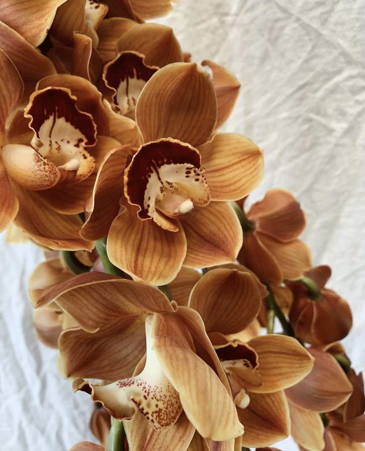 a bunch of flowers that are on a table