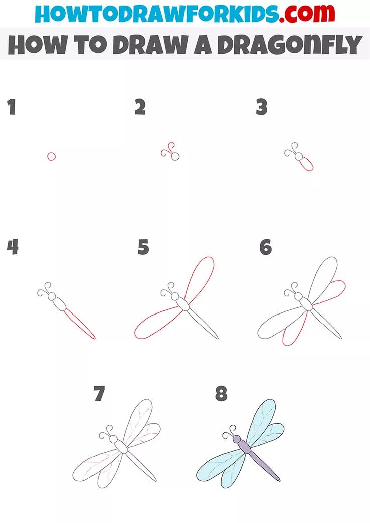 how to draw a dragonfly step by step instructions for kids and adults in easy steps