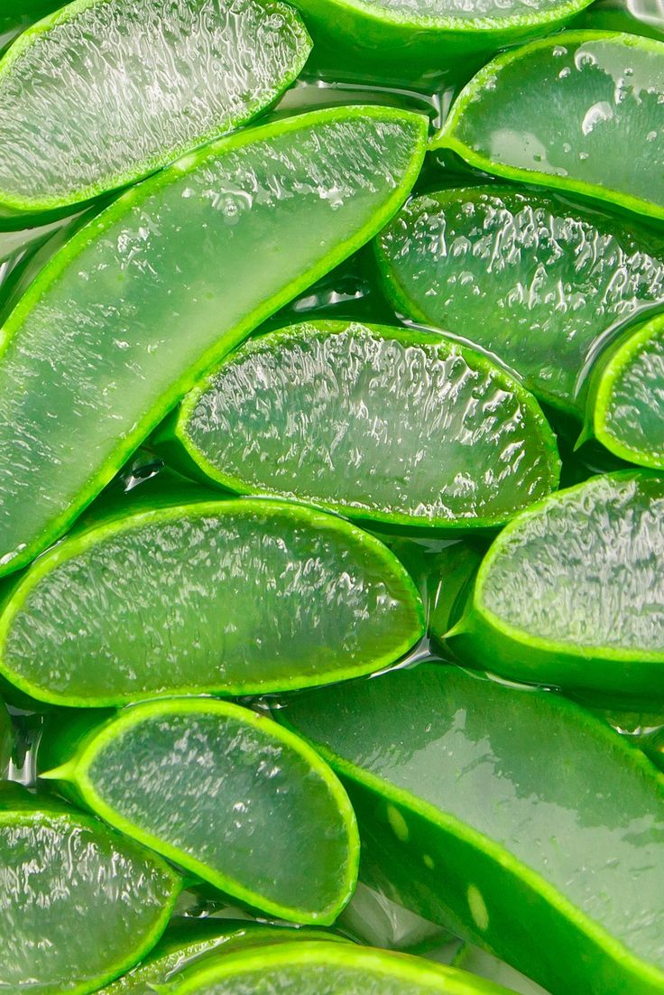 green leaves with water droplets on them