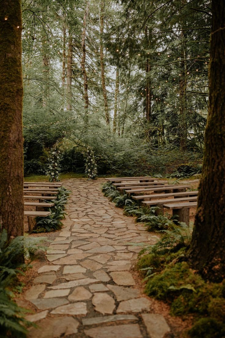 a stone path leading to benches in the woods