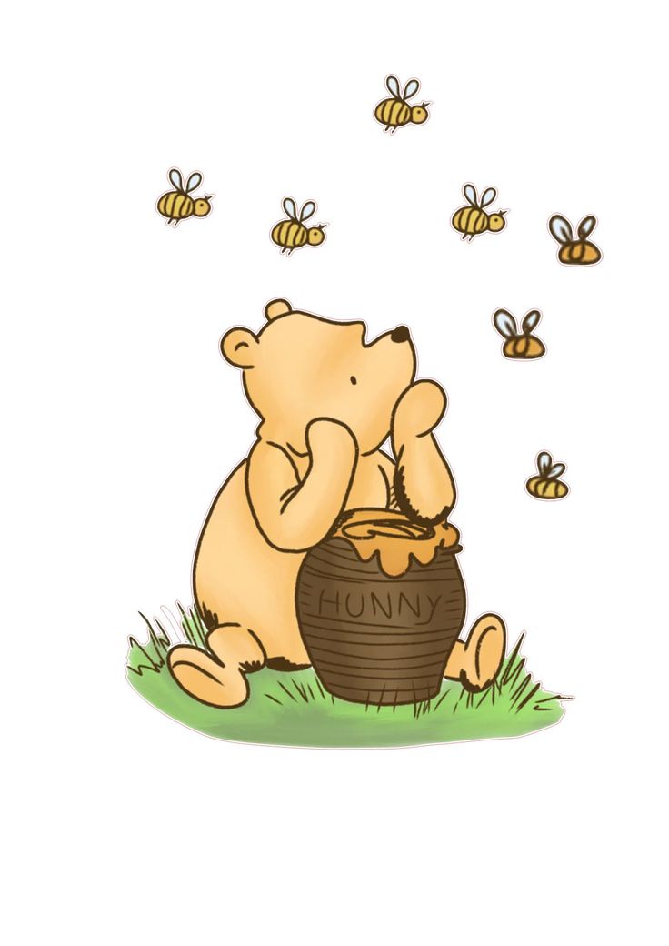 a brown bear sitting on top of a grass covered field next to a honey pot