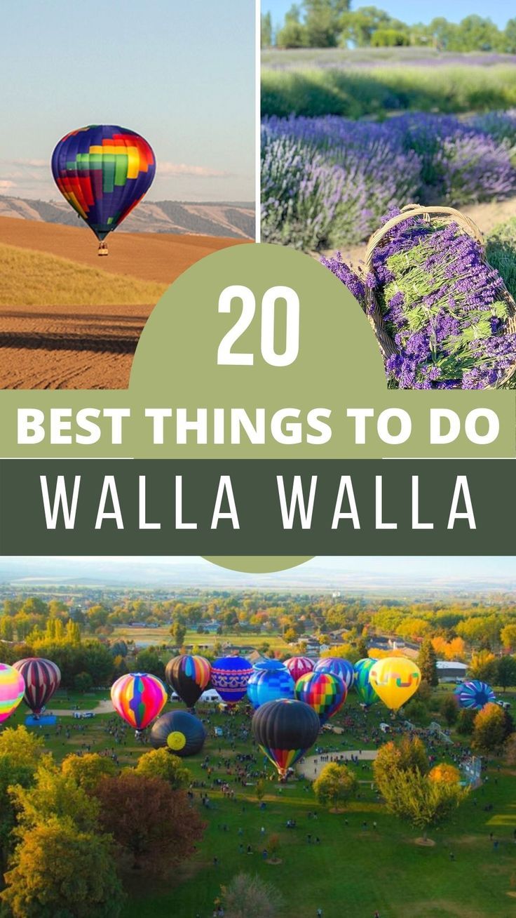 the best things to do in walla walla, washington