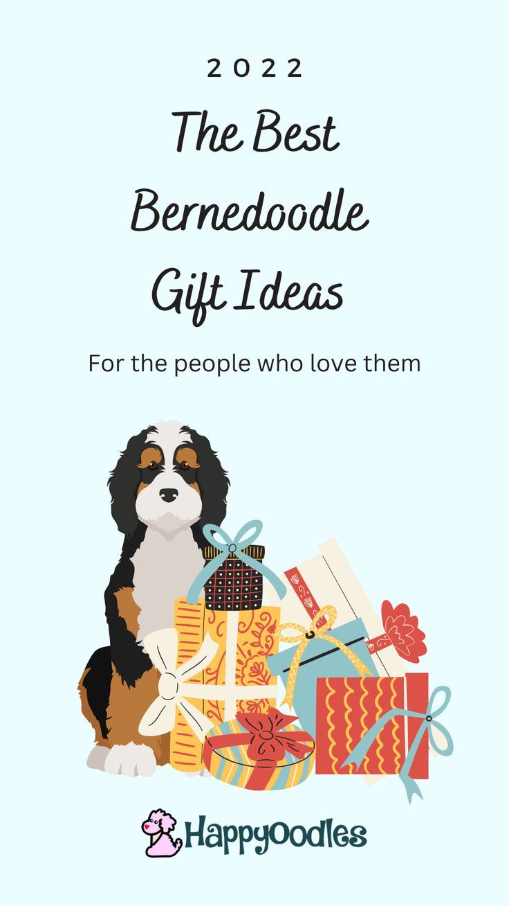 the best berndoodle gift ideas for the people who love them