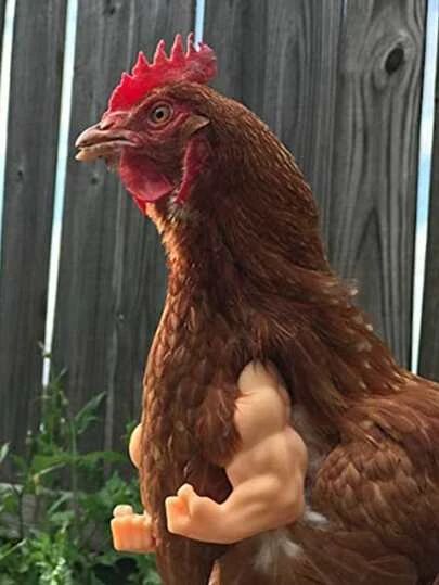 a statue of a man holding a chicken in front of a wooden fence with green plants