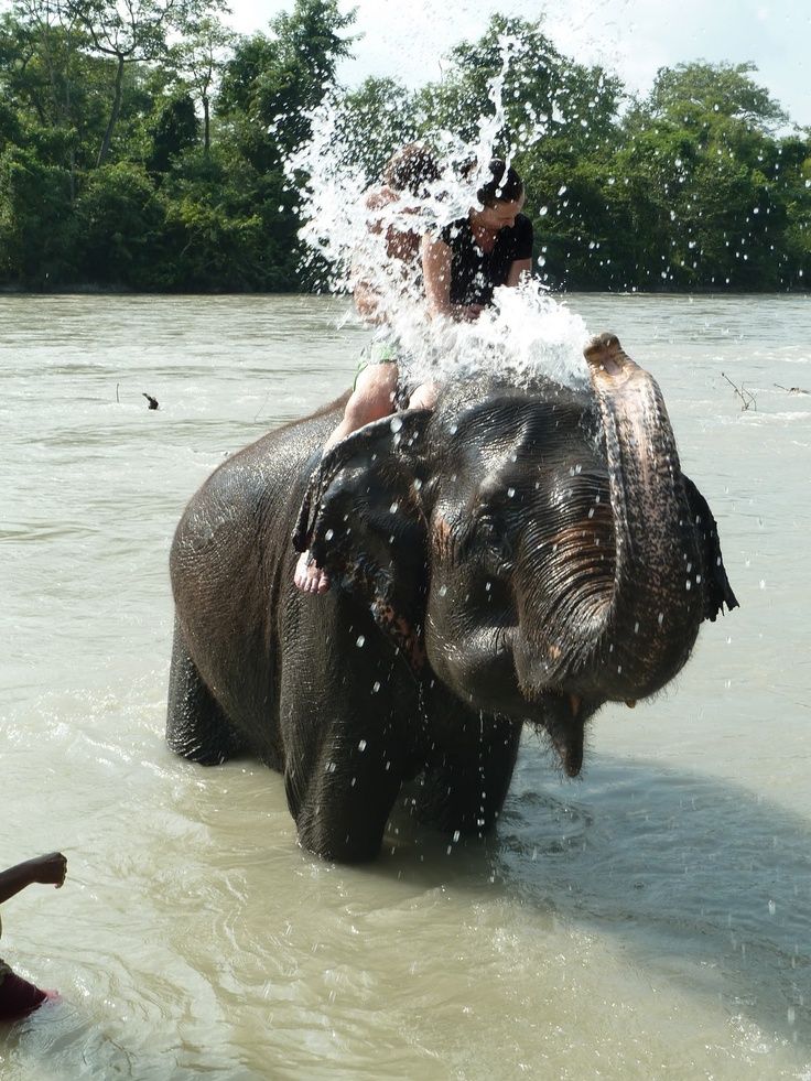 two people riding on the back of an elephant splashing water over it's head