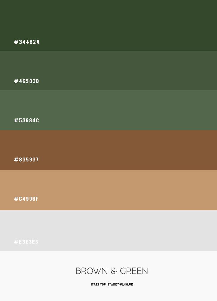 the color palette for brown and green