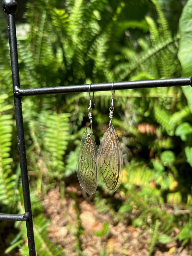 These rare and dainty dragonfly earrings are the perfect accessory for any fairy-inspired look. They are handcrafted from naturally sourced materials and wrapped in a protective laminate to preserve their beauty. Add a touch of whimsy to your collection with these enchanting earrings! Nature-inspired Wire Wrapped Earrings For Gifts, Nature-inspired Wire Wrapped Earrings As Gift, Whimsical Butterfly Earrings With Ear Wire, Nature-inspired Butterfly Earrings For Gift, Fairy-themed Drop Earrings For Gifts, Handmade Fairy Drop Earrings, Whimsical Butterfly Jewelry With Ear Wire, Whimsical Butterfly Ear Wire Jewelry, Handmade Fairy Style Drop Earrings