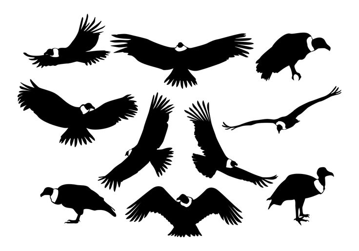 black silhouettes of birds flying in the air with their beaks open and spread out