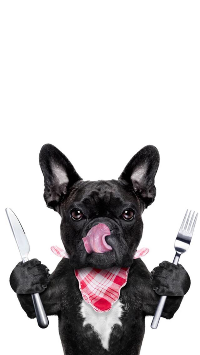 a black dog holding two forks and a knife in its paws with his tongue hanging out