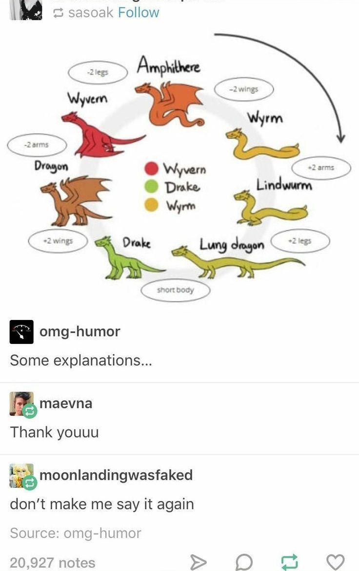 a tweet with different types of dinosaurs on it