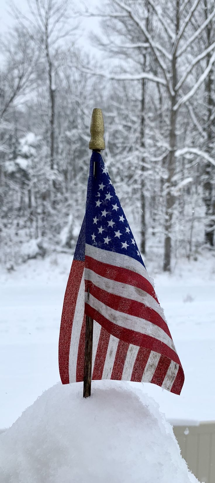 an american flag is sticking out of the snow