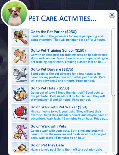 the pet care activities page is shown