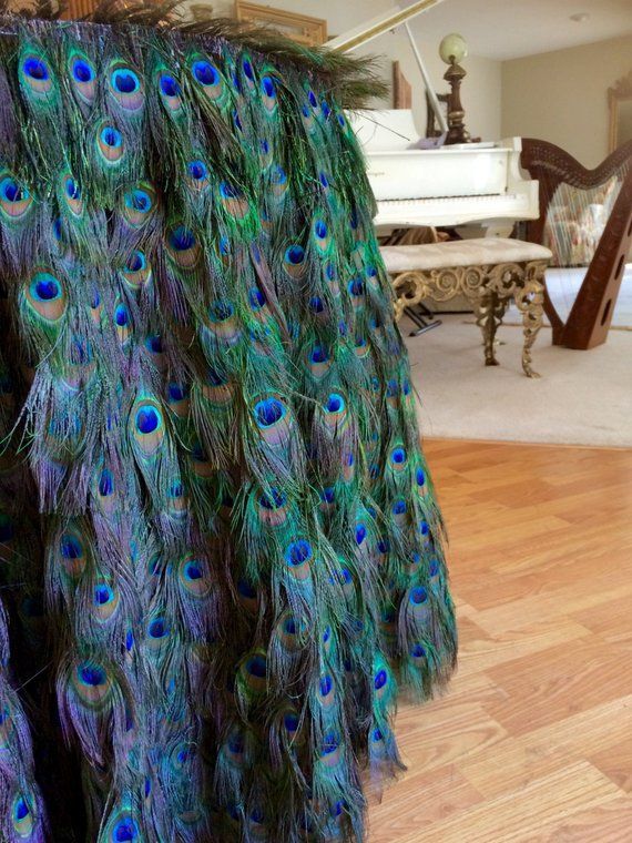 peacock feathers are spread out on the floor in front of a white piano and wooden floors