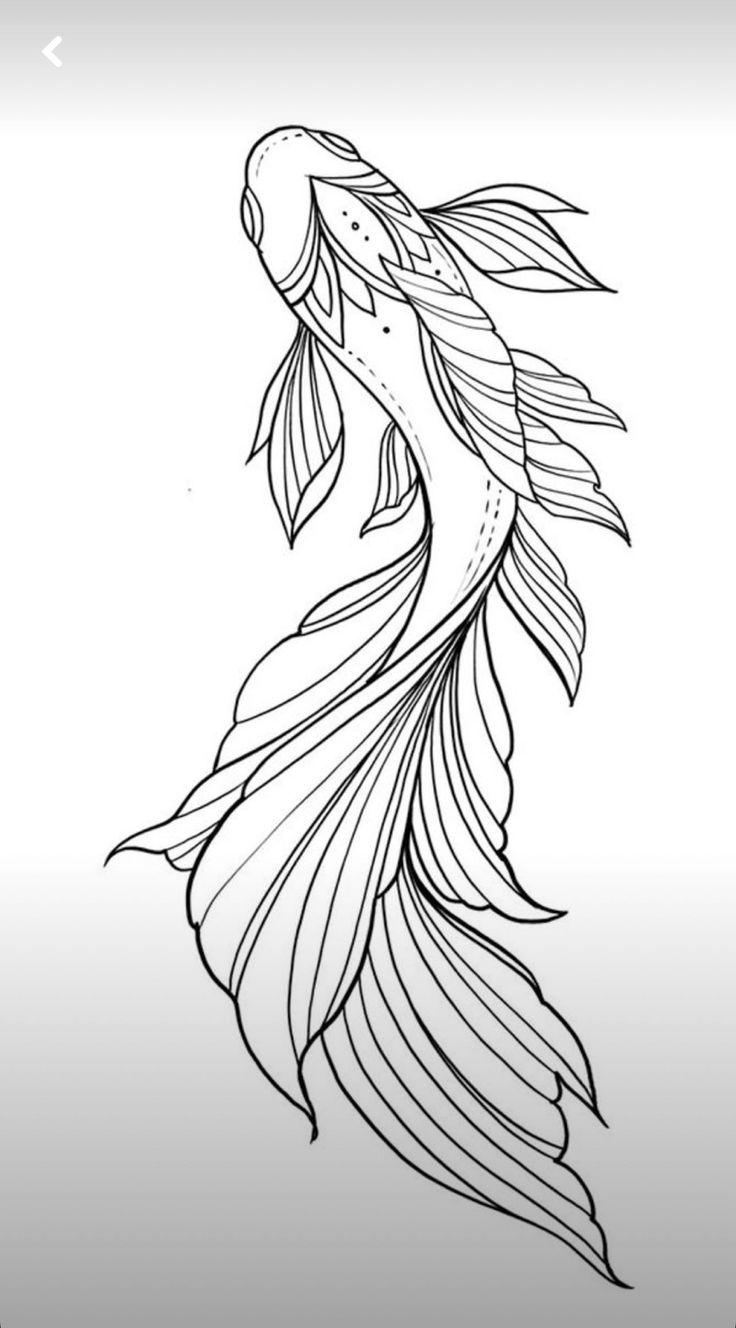 a black and white drawing of a fish with long tail, on a gray background