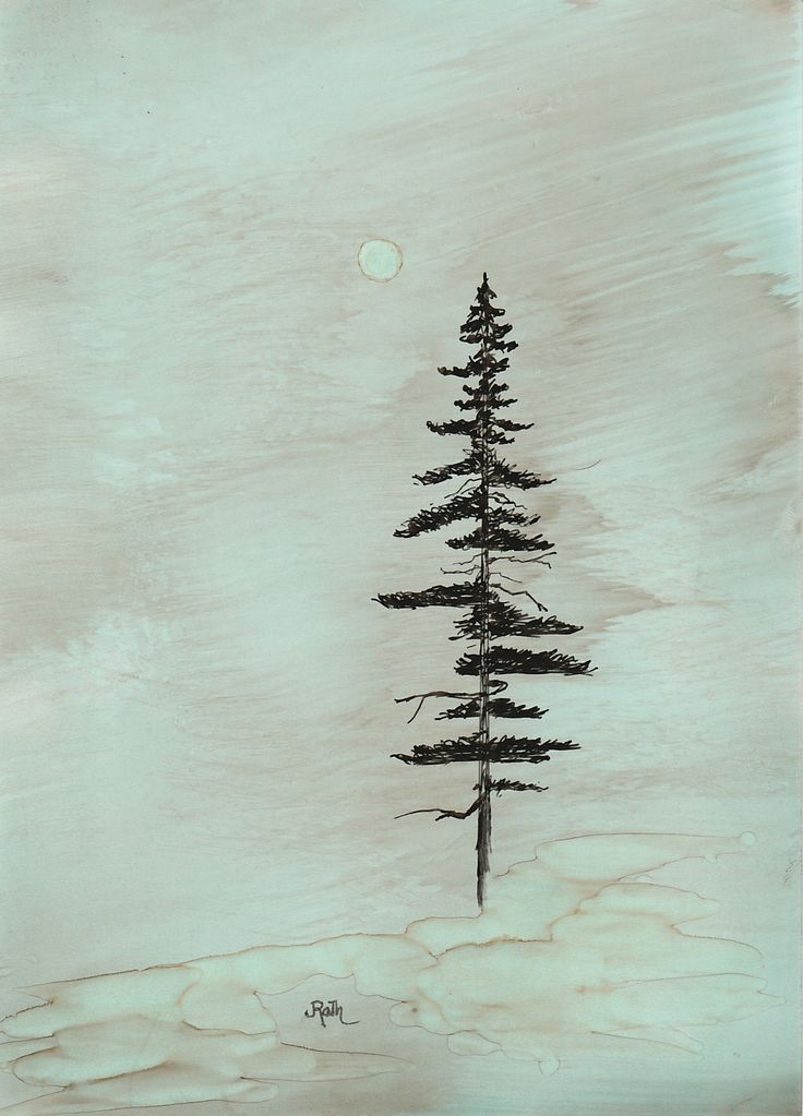 a drawing of a pine tree with the moon in the background