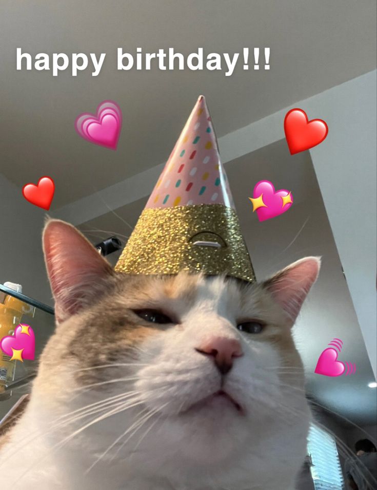 a cat wearing a party hat with hearts on it's head and the caption says happy birthday