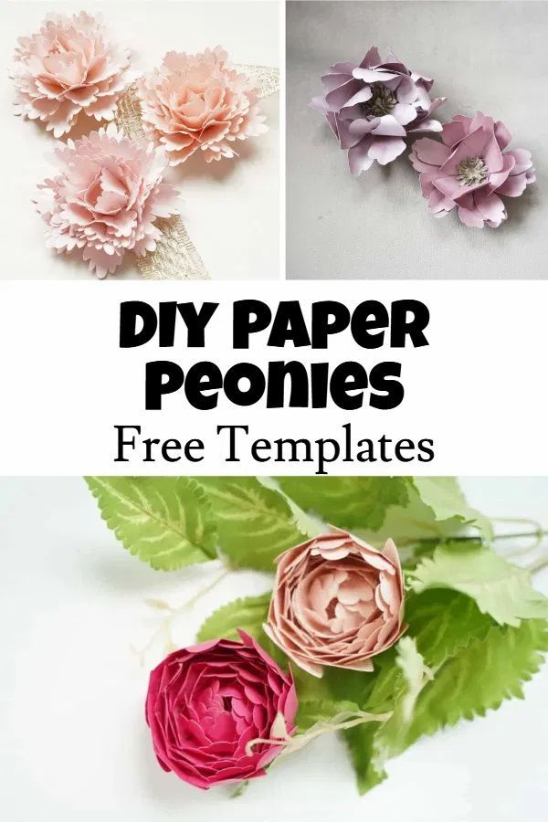 paper flowers with text that reads diy paper peonies free templates