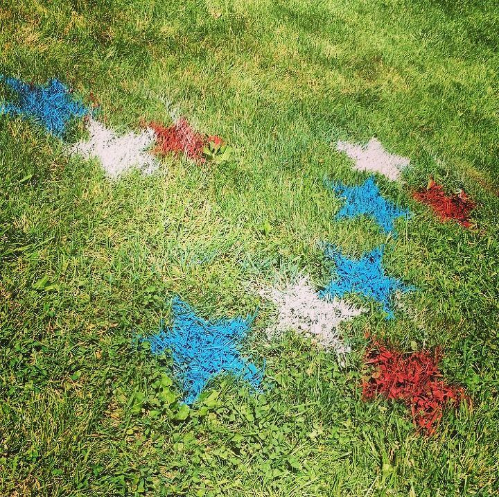 some blue and red stars are in the grass