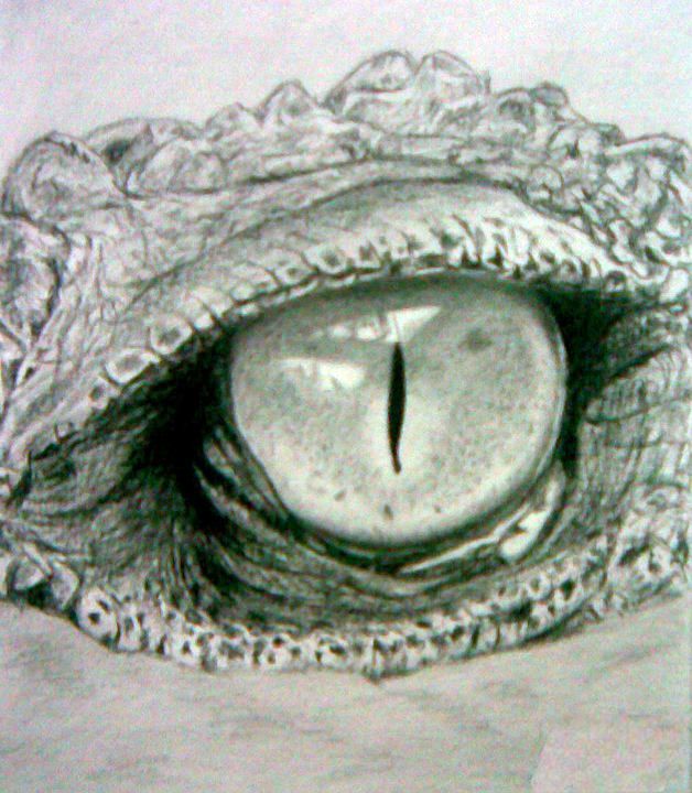 an animal's eye is shown in this drawing