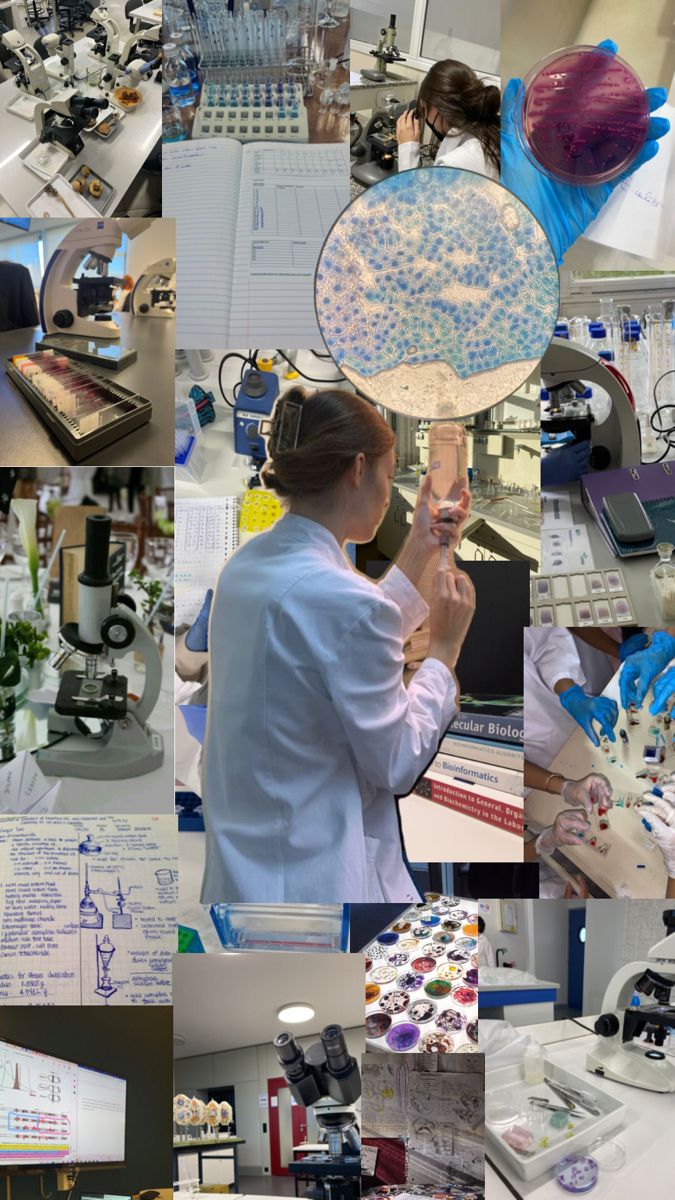 a collage of photos with people working in the lab